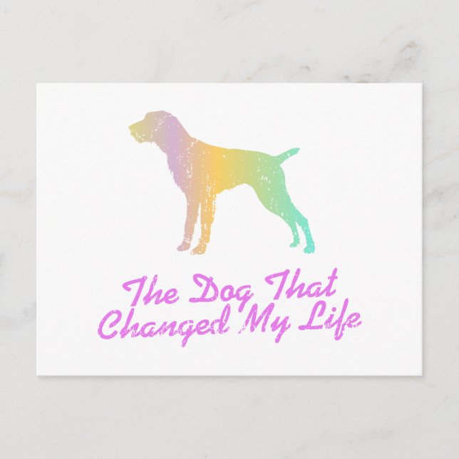 German Wirehaired Pointer Postcard (Front)