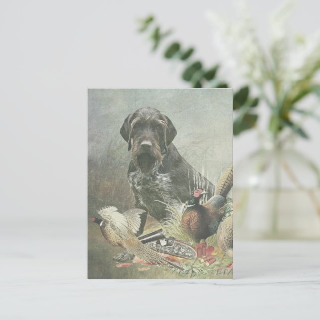 German Wirehaired Pointer  Postcard (Standing Front)