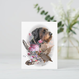 German Wirehaired Pointer    Postcard