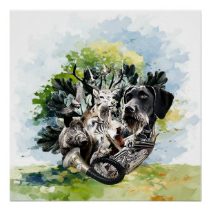 German Wirehaired Pointer  Poster