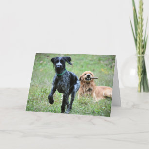 German Wirehaired Pointer Season's Greetings Card