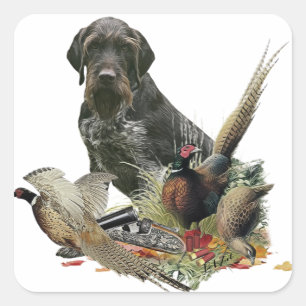 German Wirehaired Pointer     Square Sticker