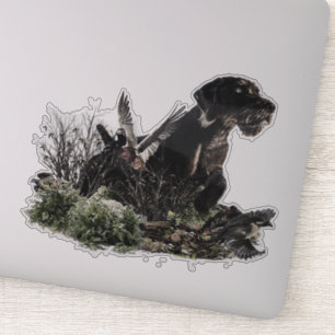 German Wirehaired Pointer    Sticker