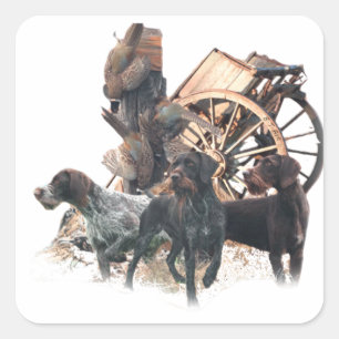 German Wirehaired Pointer sticker