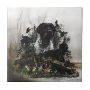 German Wirehaired Pointer   Tile