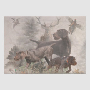 German Wirehaired Pointer Tissue Paper