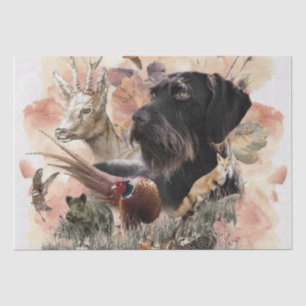  German Wirehaired Pointer     Tissue Paper