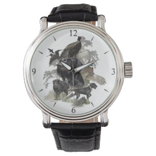 German Wirehaired Pointer   Watch