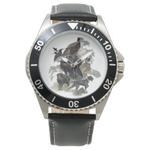 German Wirehaired Pointer   Watch