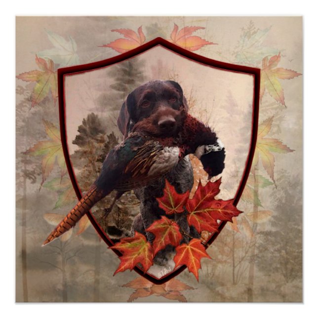 German Wirehaired Pointer with pheasant in hunting Poster (Front)