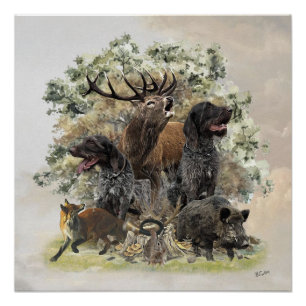 German wirehaired pointers, The Passion for Huntin Poster