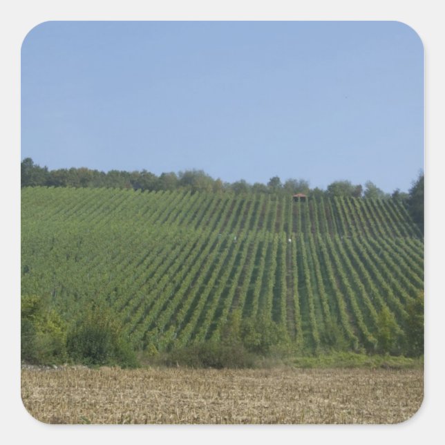 Germany, Franconia, Rothenburg. View along the Square Sticker (Front)