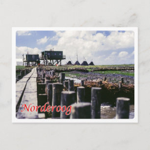 Germany - Frisian Islands - Norderoog - Postcard