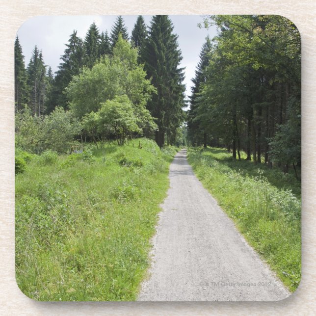 Germany, Thuringia, path in forest Coaster (Front)