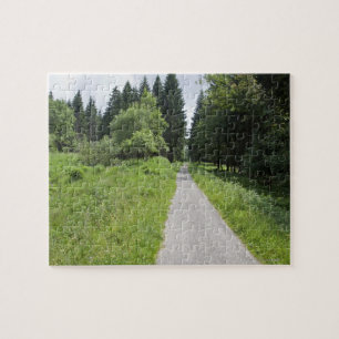 Germany, Thuringia, path in forest Jigsaw Puzzle