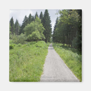 Germany, Thuringia, path in forest Magnet