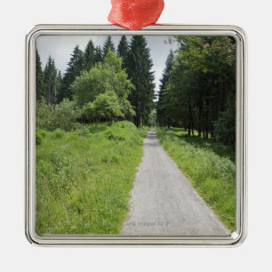 Germany, Thuringia, path in forest Metal Tree Decoration