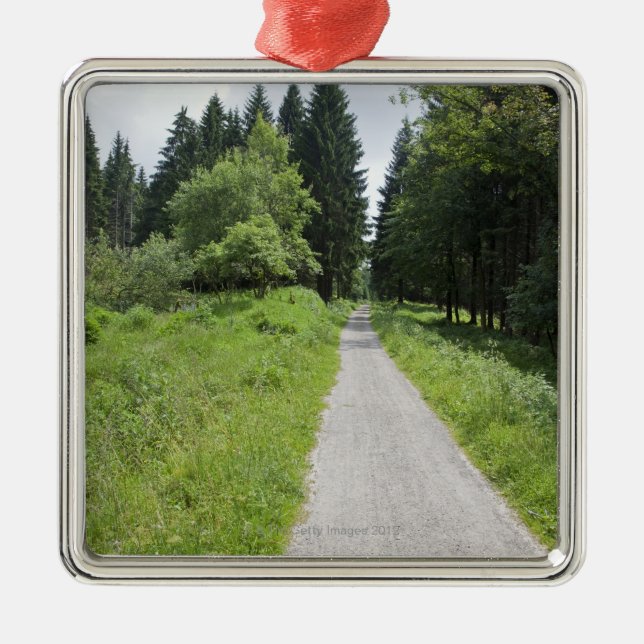 Germany, Thuringia, path in forest Metal Tree Decoration (Front)