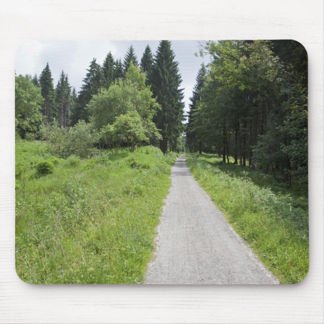 Germany, Thuringia, path in forest Mouse Mat (Front)