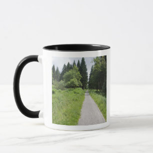 Germany, Thuringia, path in forest Mug