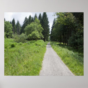Germany, Thuringia, path in forest Poster