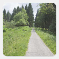 Germany, Thuringia, path in forest