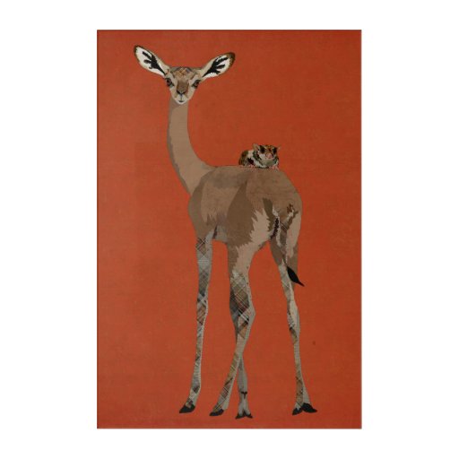 Image of GERNUK & SUGAR GLIDER Acrylic Print