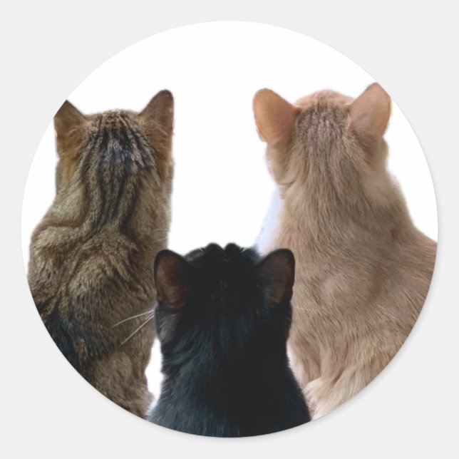 Geronimo, Henri & Floyd Sticker (Front)