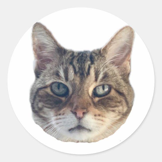 Geronimo Sticker (Front)