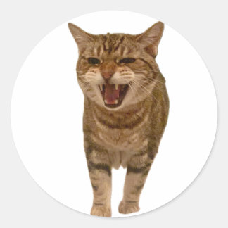 Geronimo Sticker - Meowing!