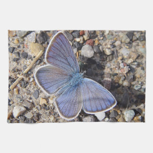 Geschirrtuch blauer Schmetterling Tea Towel
