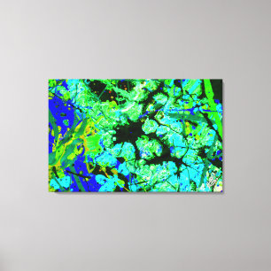 Gestation Canvas Print