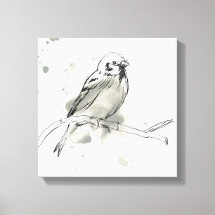 Gestural Bird Study Canvas Print