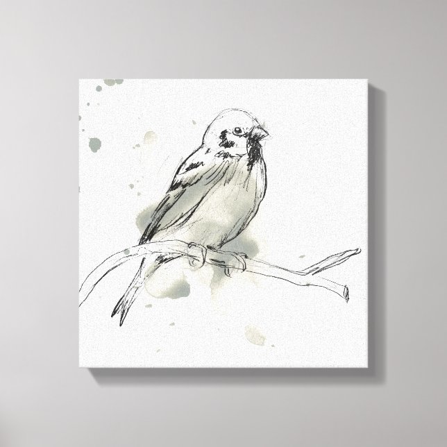 Gestural Bird Study Canvas Print (Front)