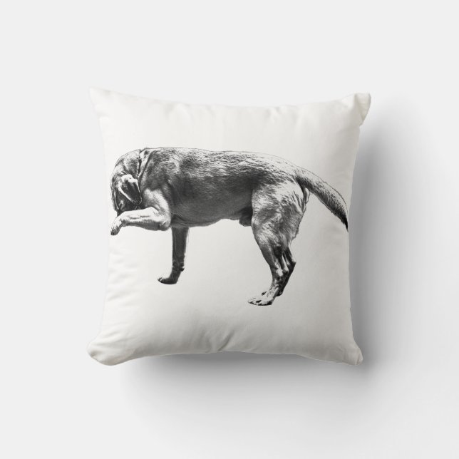 Gesture in Focus Cushion (Front)