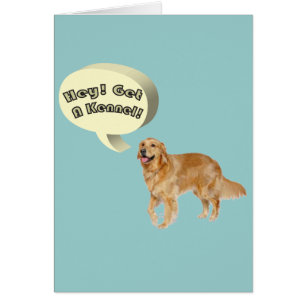 get a kennel Funny golden retriever