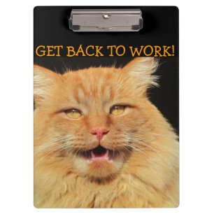 Get Back to Work Boss Cat Clipboard