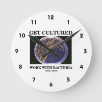 Get Cultured Work With Bacteria (Agar Plate)