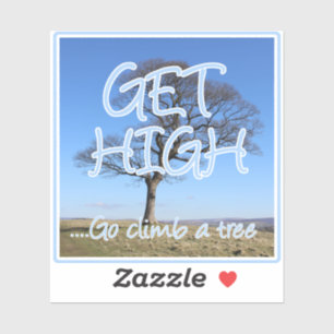 Get high go climb a tree arborist