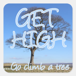 Get high go climb a tree arborist square sticker