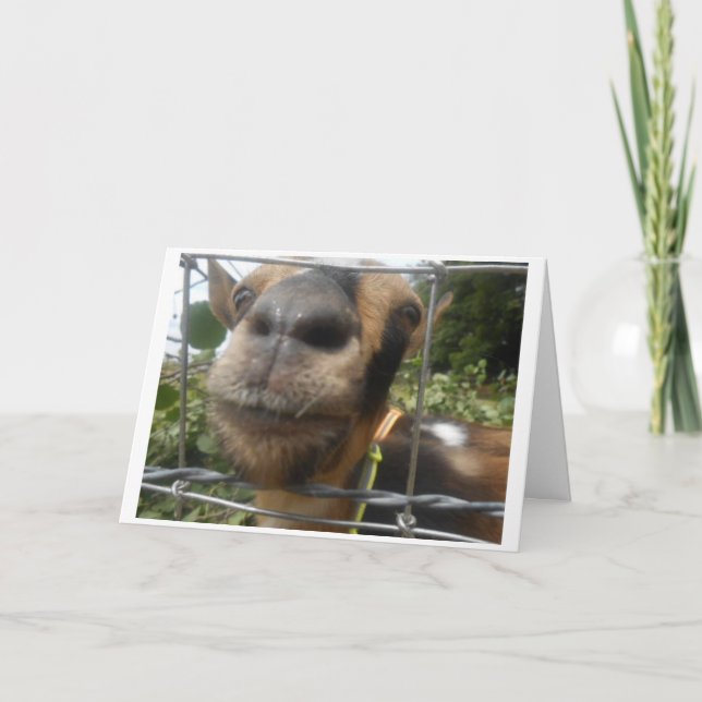 GET ME OUT SO I CAN WISH U HAPPY BIRTHDAY CARD (Front)