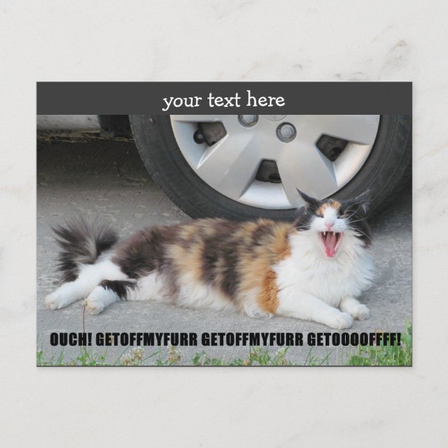 Get Off My Fur Screaming Calico Postcard (Front)