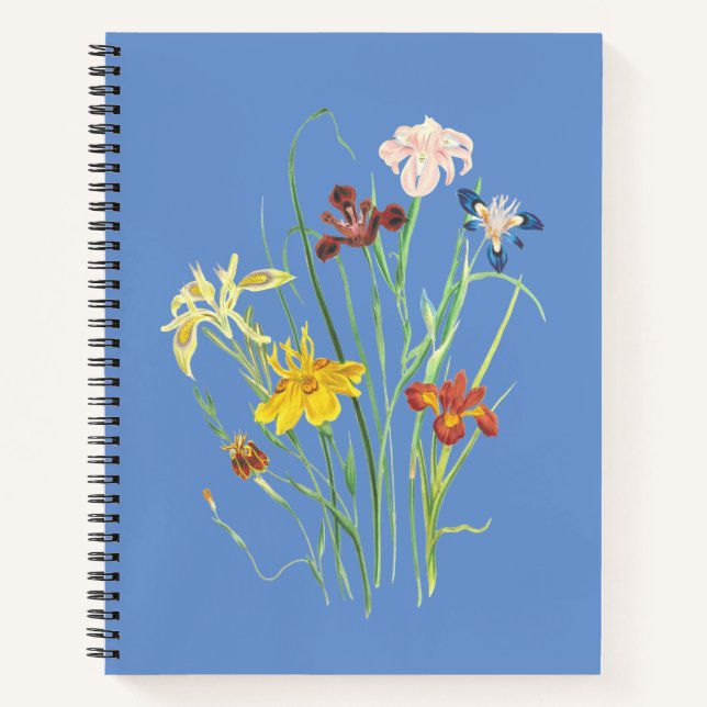 Get Organised and Stay on Track with Our Spiral  Notebook (Front)