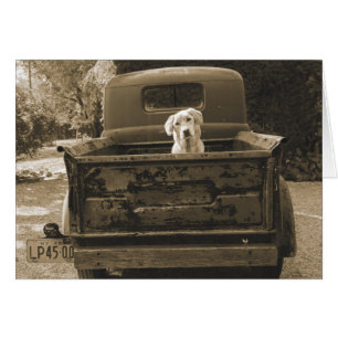 Get Out of Dodge - Dog Photograph