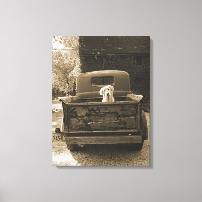Get Out of Dodge - Dog Photograph Canvas Print (Front)