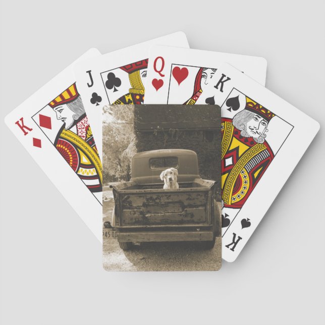 Get Out of Dodge - Dog Photograph Playing Cards (Back)