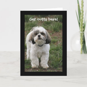 Get outta here! card