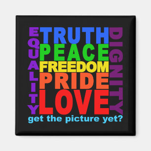 Get The Picture? magnet