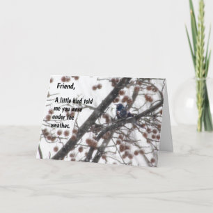 Get well, a little bird told me you were under ... card