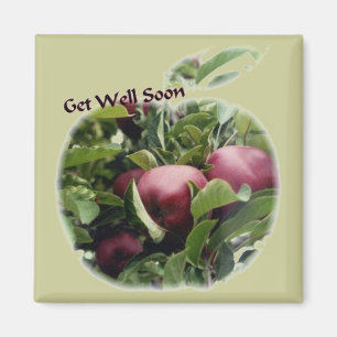 Get Well Apples Photography Magnet